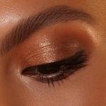 GOLDEN EYESHADOW PALETTE Pro-Level Pigments, User-Friendly Formulas and Systems