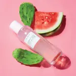 Glow Recipe- Watermelon Glow PHA+BHA Pore-Tight Toner