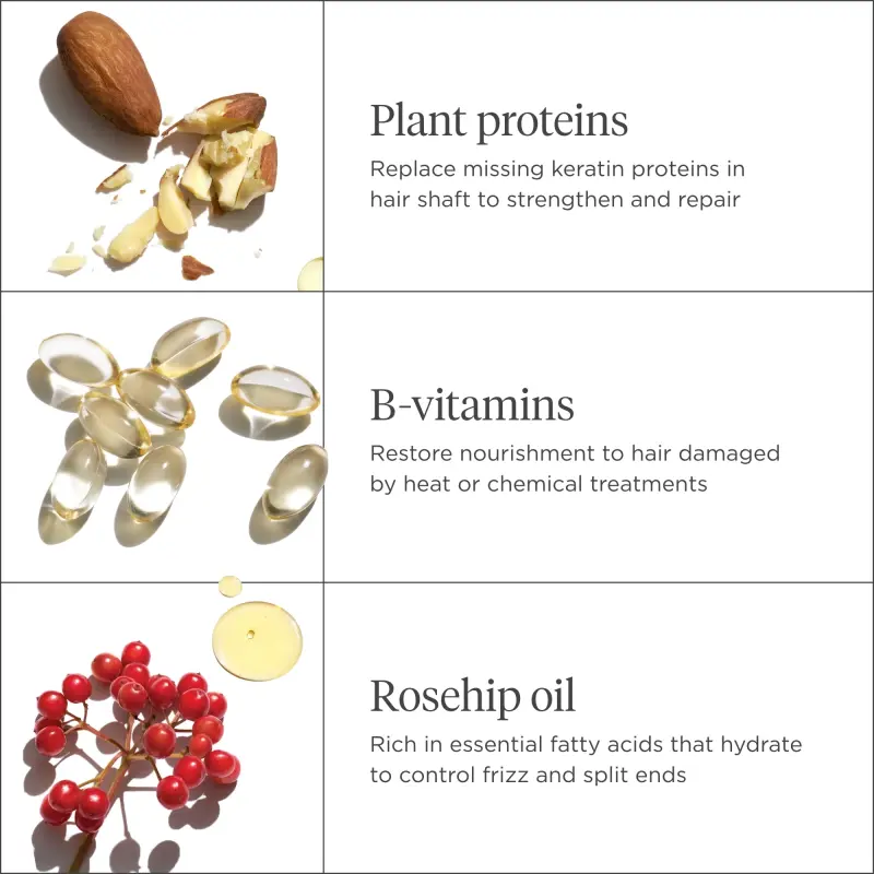 Briogeo Don't Despair, Repair Deep Conditioning Mask, 2 oz