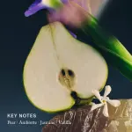 MERIT  Retrospect L’Extrait de Parfum