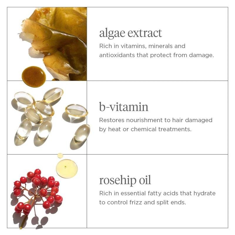 Briogeo Don’t Despair, Repair Rosehip + Algae  Super Moisture Shampoo