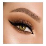 Too Faced Born This Way The Natural Nudes Complexion Inspired Eyeshadow Palette