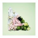 Paradoxe Virtual Flower